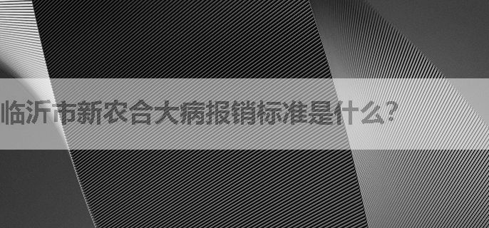临沂市新农合大病报销标准是什么？