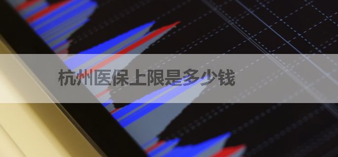 杭州医保上限是多少钱