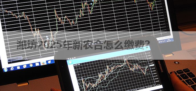 潍坊2025年新农合怎么缴费？