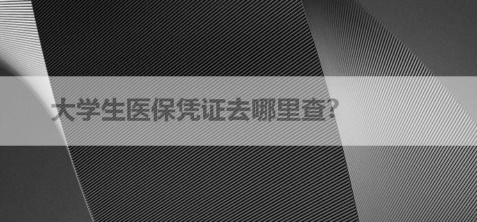 大学生医保凭证去哪里查？