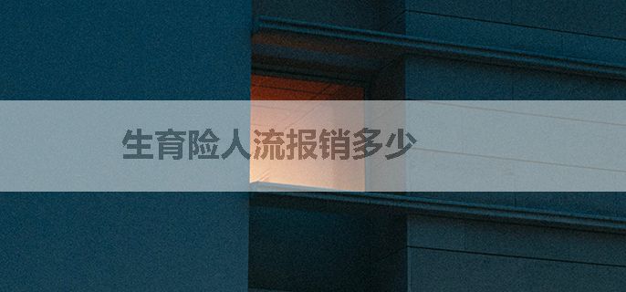 生育险人流报销多少