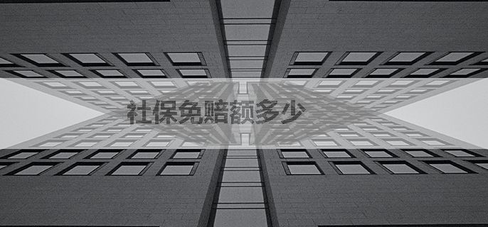 社保免赔额多少