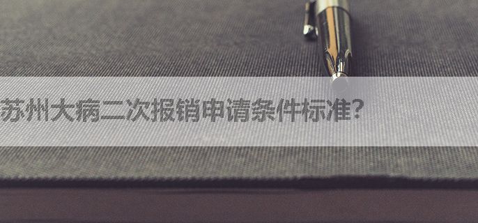 苏州大病二次报销申请条件标准？