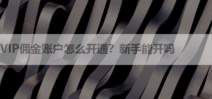 VIP佣金账户怎么开通？新手能开吗
