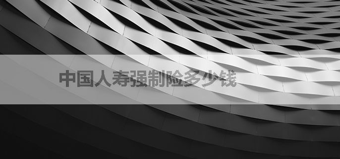 中国人寿强制险多少钱
