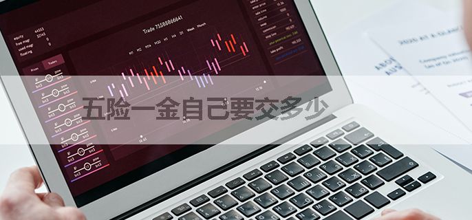 五险一金自己要交多少