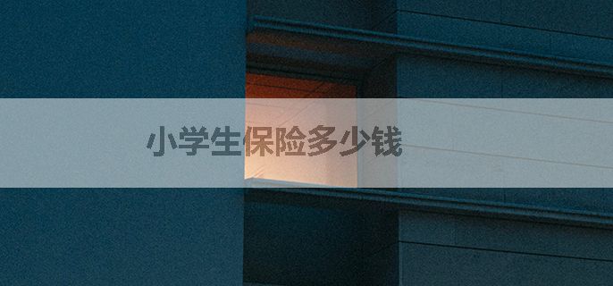 小学生保险多少钱