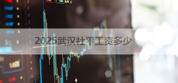 2025武汉社平工资多少