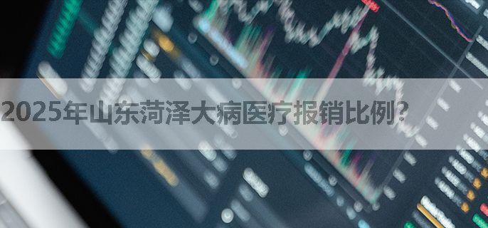 2025年山东菏泽大病医疗报销比例？