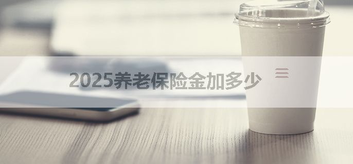 2025养老保险金加多少