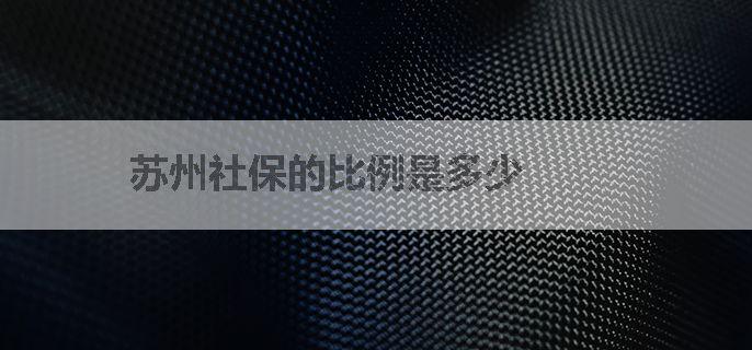 苏州社保的比例是多少