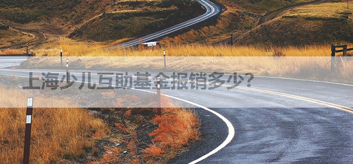 上海少儿互助基金报销多少？