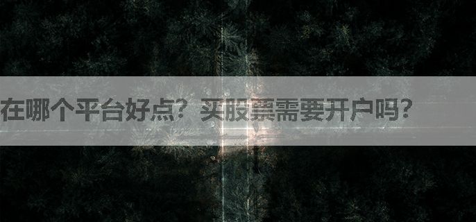 在哪个平台好点？买股票需要开户吗？