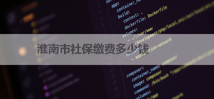 淮南市社保缴费多少钱