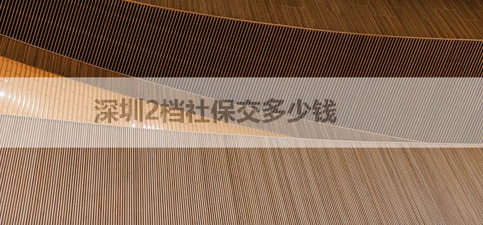 深圳2档社保交多少钱