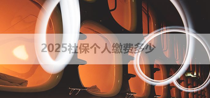 2025社保个人缴费多少