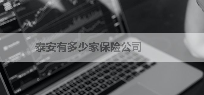 泰安有多少家保险公司