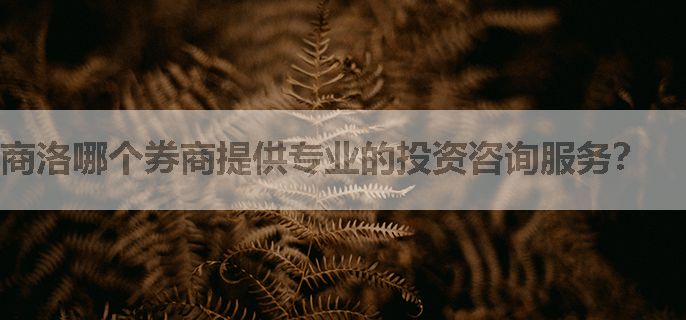商洛哪个券商提供专业的投资咨询服务？