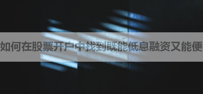 如何在股票开户中找到既能低息融资又能便捷量化的方式？