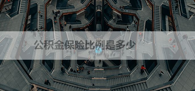 公积金保险比例是多少