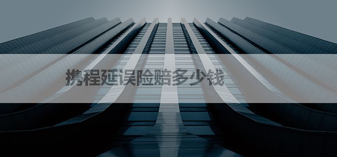 携程延误险赔多少钱
