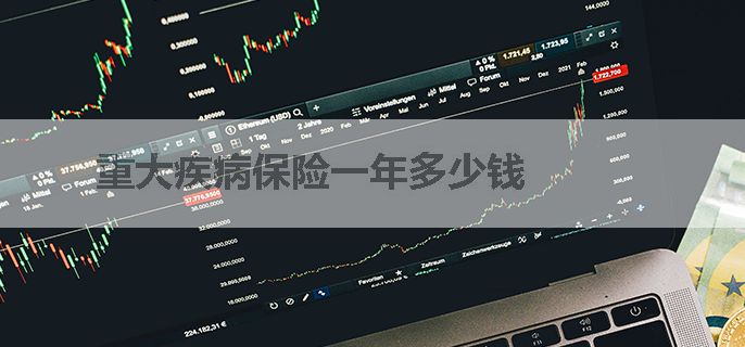 重大疾病保险一年多少钱