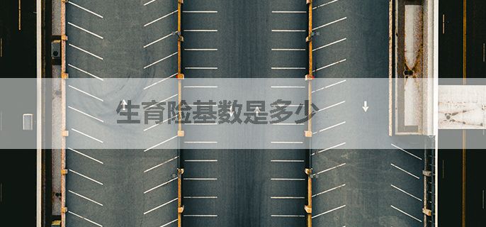 生育险基数是多少