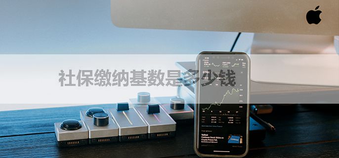 社保缴纳基数是多少钱