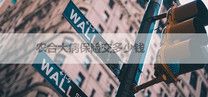 农合大病保险交多少钱