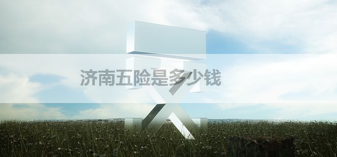济南五险是多少钱