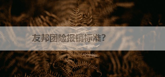 友邦团险报销标准？