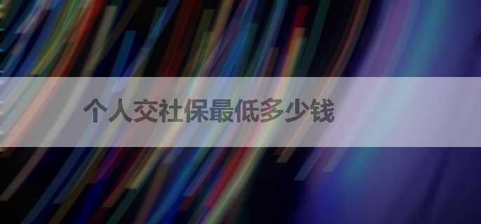 个人交社保最低多少钱