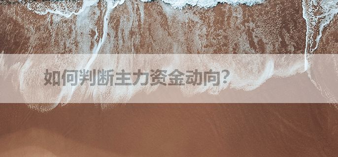 如何判断主力资金动向？