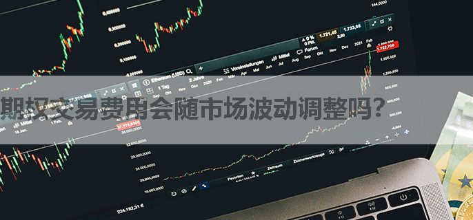 期权交易费用会随市场波动调整吗？
