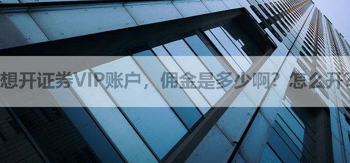 想开证券VIP账户，佣金是多少啊？怎么开？