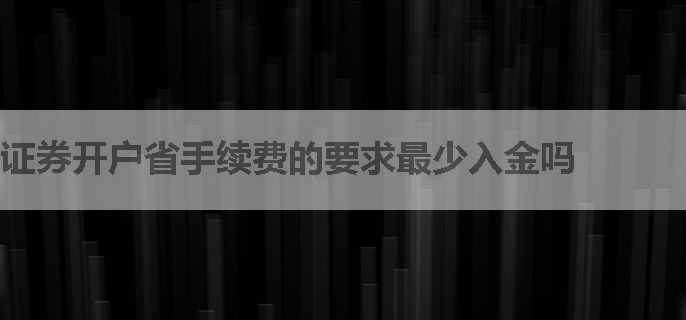 证券开户省手续费的要求最少入金吗