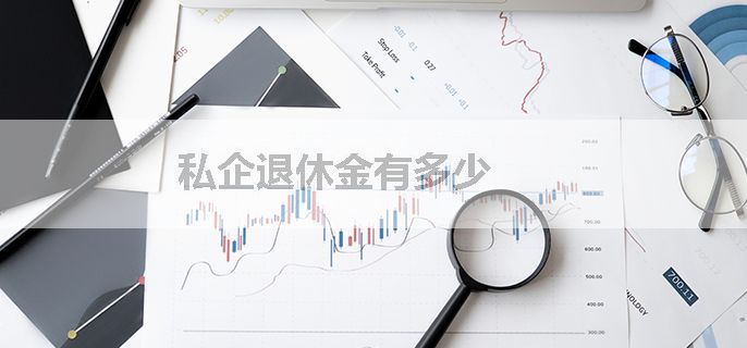 私企退休金有多少