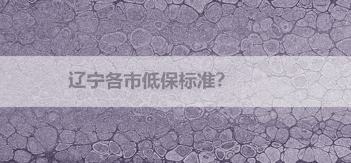 辽宁各市低保标准？