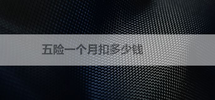 五险一个月扣多少钱