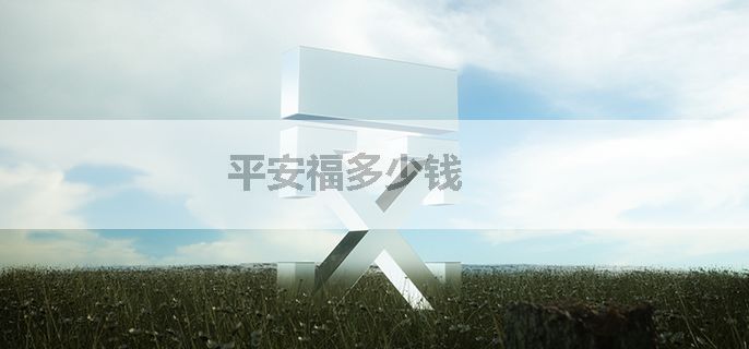 平安福多少钱
