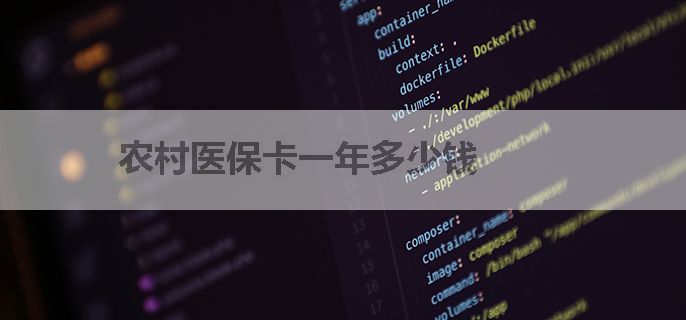 农村医保卡一年多少钱