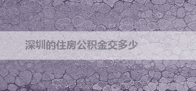 深圳的住房公积金交多少