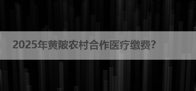 2025年黄陂农村合作医疗缴费？
