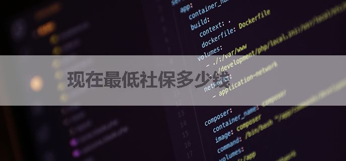 现在最低社保多少钱