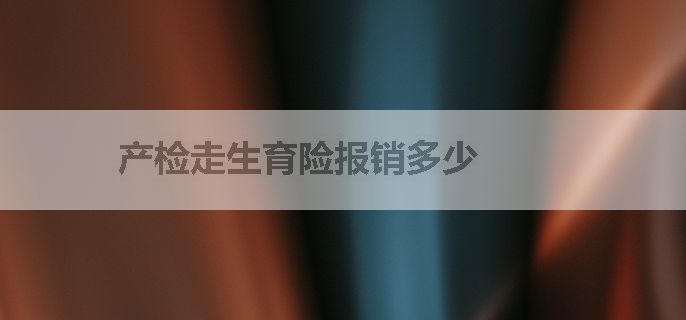产检走生育险报销多少