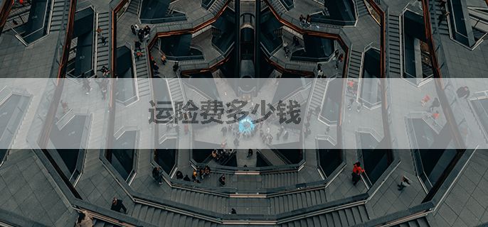 运险费多少钱
