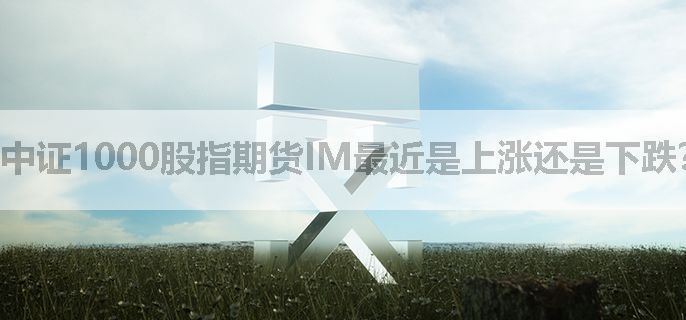 中证1000股指期货IM最近是上涨还是下跌？中长线该怎么做
