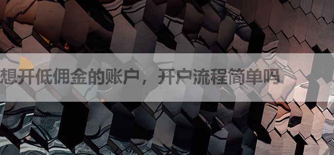 想开低佣金的账户，开户流程简单吗