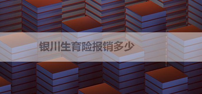 银川生育险报销多少