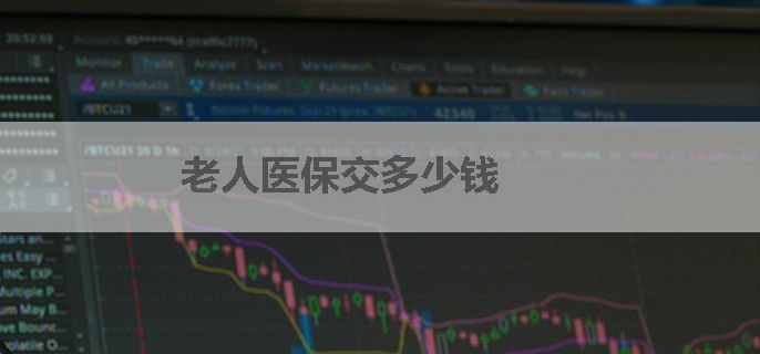 老人医保交多少钱